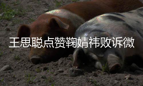 已一次败诉她王思微博赞鞠婧祎经不聪点是第