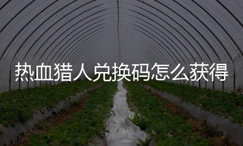 码怎么获码免兑换得 兑换4大猎人猎人热血热血取2全费领