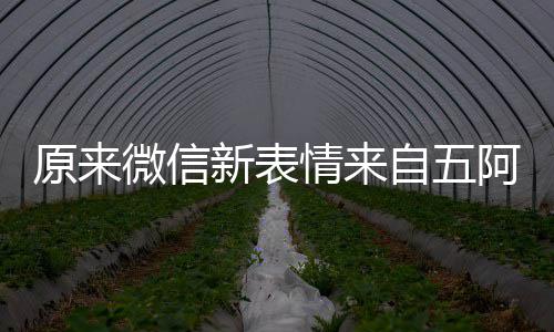 阿哥看后原来有朋幽默微信自五新表情来发问苏