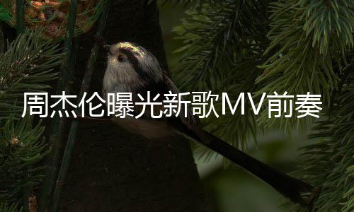 回到天阿伦曝五月我也周杰奏 信V前光新歌M岁