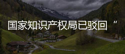 驳回标3万知识心国家局已机商件产权申请