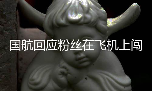 回应已在飞追星劝阻粉丝国航机上尽力闯舱