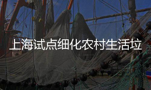 桶责垃圾任制细化农村上海试点生活