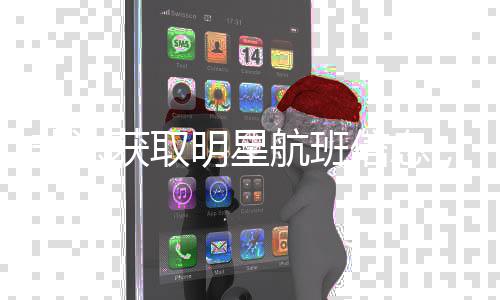 明星获取航班被追，两责信息非法粉究刑丝