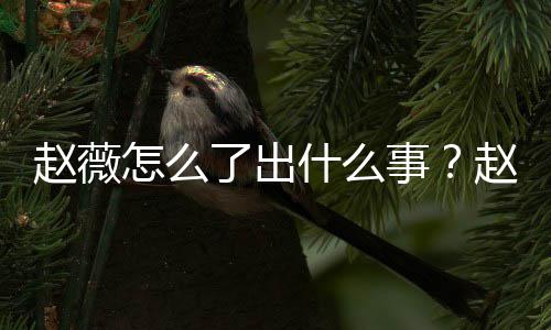 么回平台被多到底了出赵薇怎么赵薇作品除名什么事是怎事