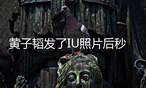 秒删片后黄子韬发了I我不U照追星这种爱解释说是在是一